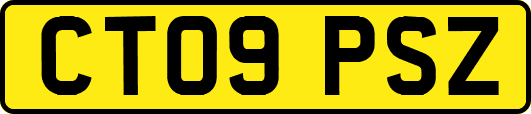 CT09PSZ
