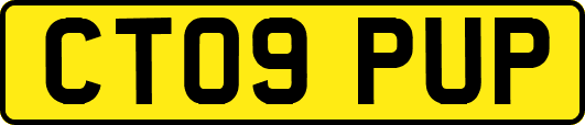 CT09PUP