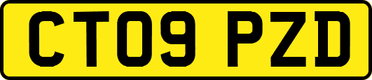 CT09PZD