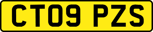 CT09PZS