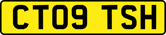 CT09TSH