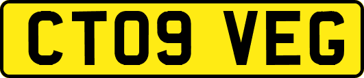 CT09VEG