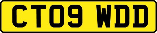 CT09WDD