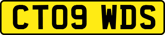 CT09WDS