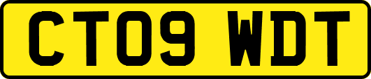 CT09WDT