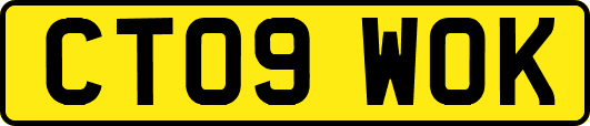 CT09WOK