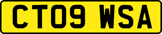 CT09WSA