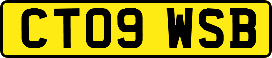 CT09WSB