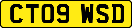 CT09WSD