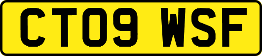 CT09WSF