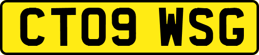 CT09WSG