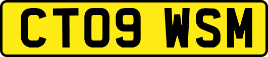 CT09WSM