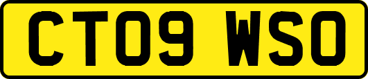 CT09WSO