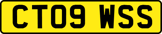 CT09WSS