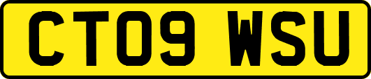 CT09WSU