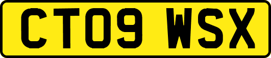 CT09WSX