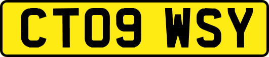 CT09WSY