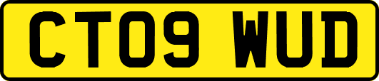 CT09WUD