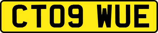 CT09WUE