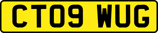 CT09WUG