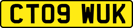 CT09WUK
