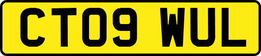 CT09WUL