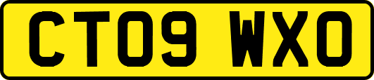 CT09WXO
