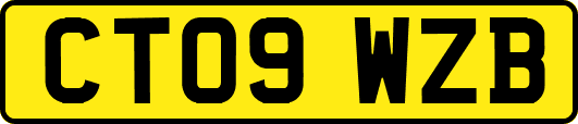 CT09WZB
