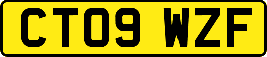 CT09WZF