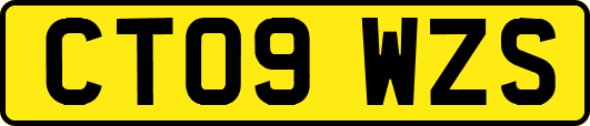 CT09WZS