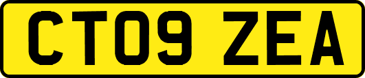 CT09ZEA