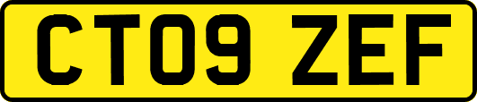 CT09ZEF