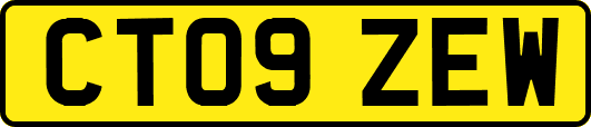 CT09ZEW