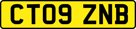 CT09ZNB