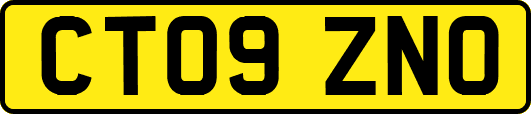 CT09ZNO