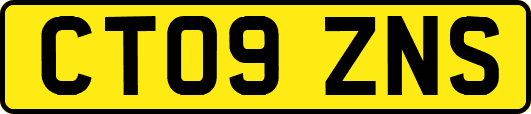 CT09ZNS