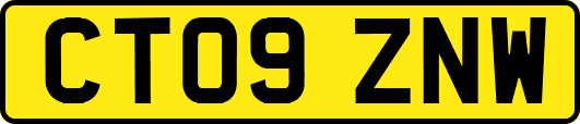 CT09ZNW