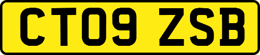 CT09ZSB