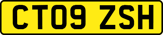 CT09ZSH
