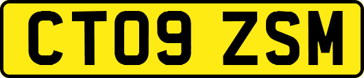CT09ZSM