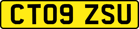 CT09ZSU