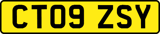 CT09ZSY