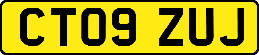 CT09ZUJ