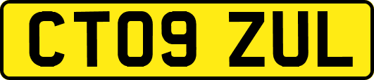 CT09ZUL