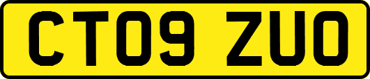 CT09ZUO