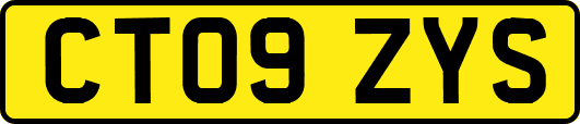 CT09ZYS