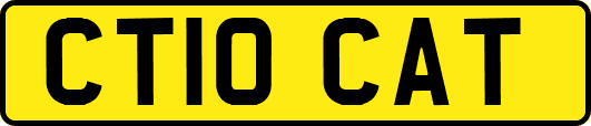 CT10CAT