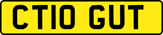 CT10GUT
