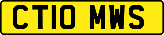 CT10MWS