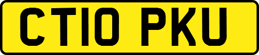 CT10PKU